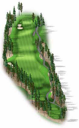 Hole 17 graphic