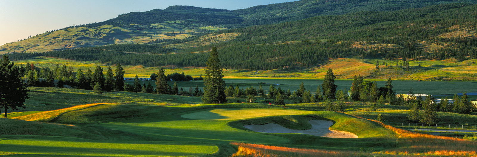 Okanagan Golf Club Bear Course Nicklaus Design Kelowna Golf Courses