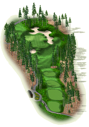 Hole 11 Hole 11 graphic