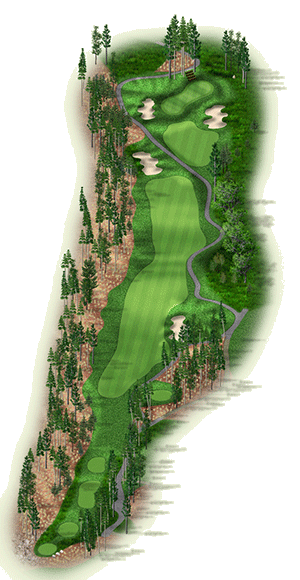 Hole 12 graphic