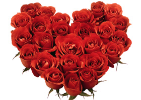 Online Shop at Wailea