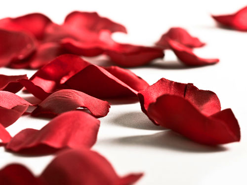 Online Shop at Wailea